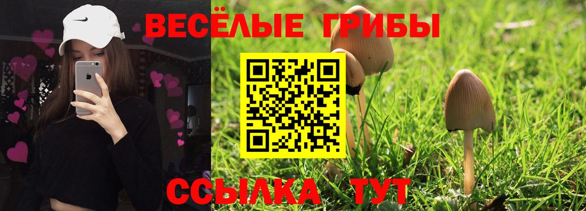 Псилоцибиновые грибы Psilocybine cubensis  Вход с VPN  Гагарин 